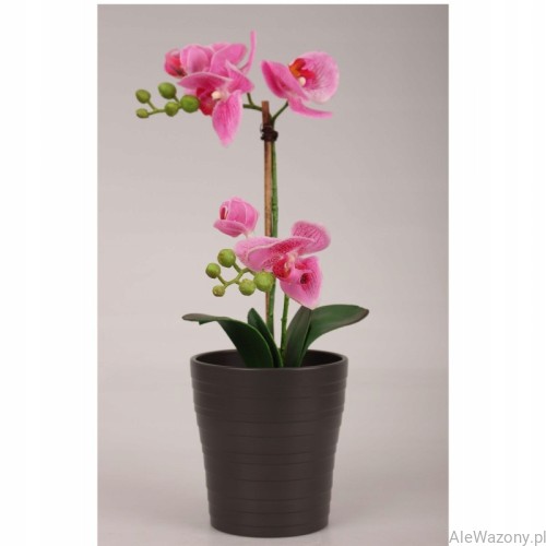 Ceramiczna osłonka do storczyka  13 cm Połysk kolor Antracyt