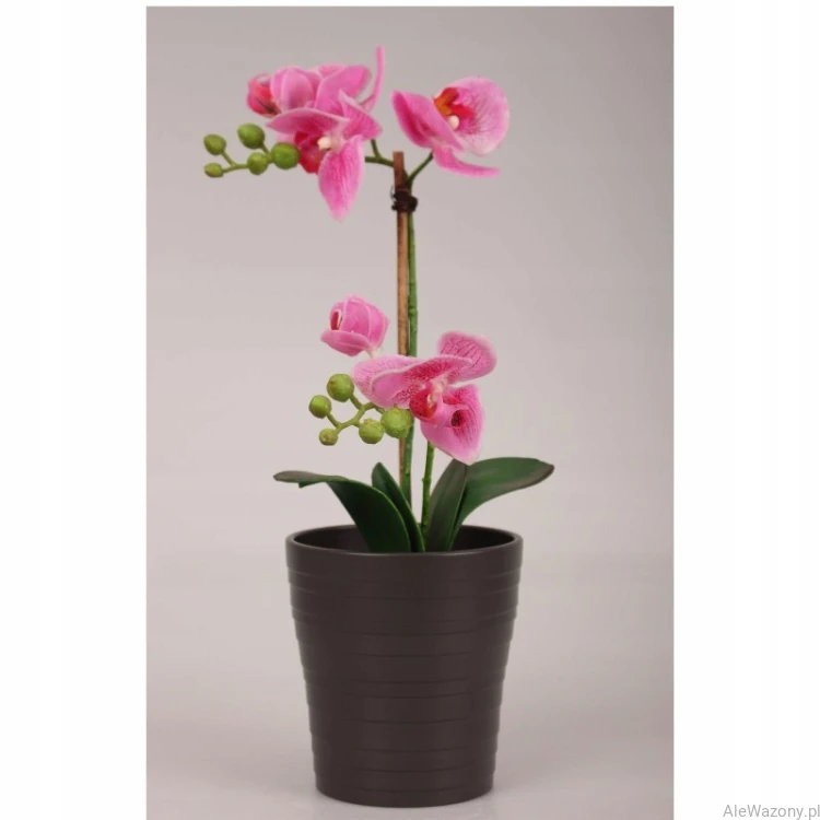 Ceramiczna osłonka do storczyka  13 cm Połysk kolor Antracyt
