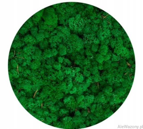 Mech Chrobotek  Naturalny Ciemny Zielony 200 g