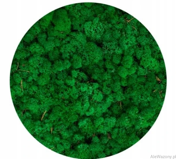 Mech Chrobotek  Naturalny Ciemny Zielony 200 g