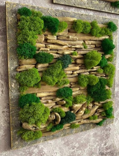 Mech Chrobotek  Naturalny Jasny Zielony 200 g